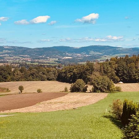 Adlerhorst, 4 Schlafzimmer, Blick In Die Alpen, Parkplatz Thyrnau Exteriör bild