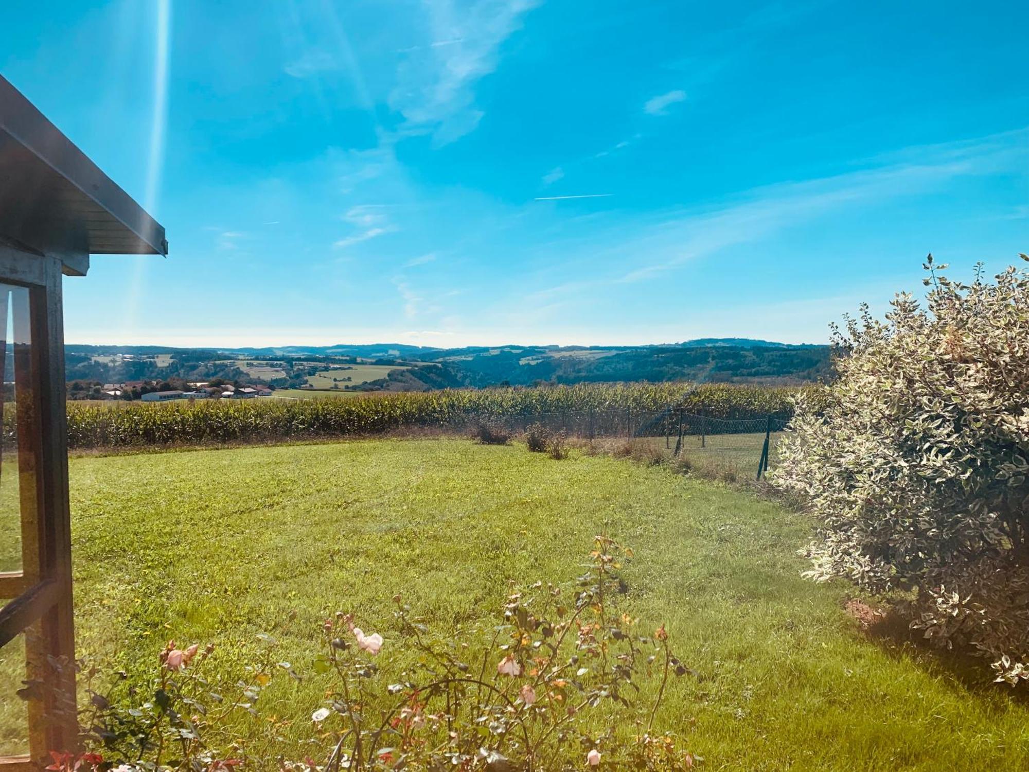 Adlerhorst, 4 Schlafzimmer, Blick In Die Alpen, Parkplatz Thyrnau Exteriör bild