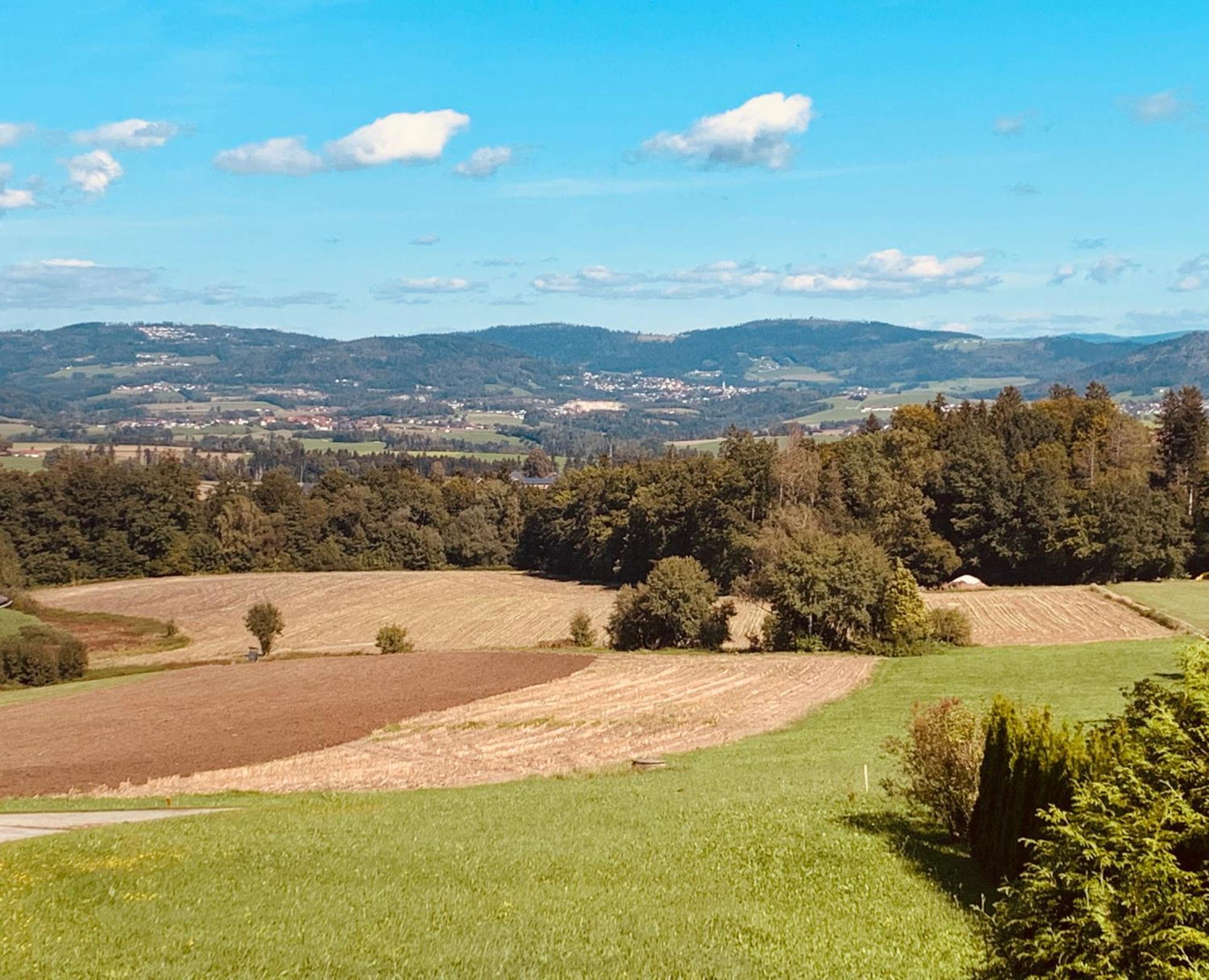 Adlerhorst, 4 Schlafzimmer, Blick In Die Alpen, Parkplatz Thyrnau Exteriör bild